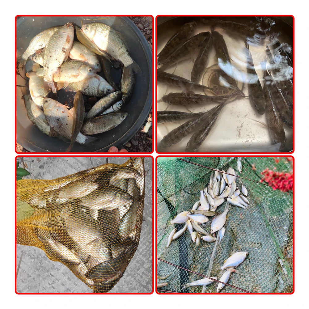 ๐ฃ Natural Bait Powder for Carp Fishing