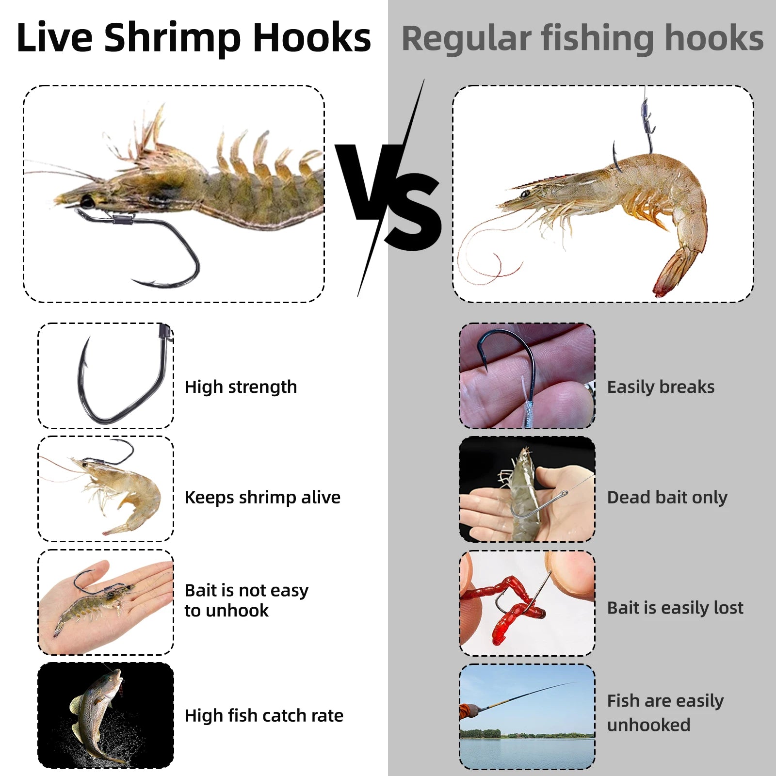 best hooks for live bait fishing 10Pcs Ultimate Live Shrimp Hook – Keep Your Bait Alive for Massive Cat – Fishcampvietnam